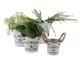 Plechový květináč s jutovými uchy Flowers & Garden - Ø 10*9 cm daan kromhout