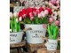 Plechový květináč s jutovými uchy Flowers & Garden - Ø 23*17 cm daan kromhout