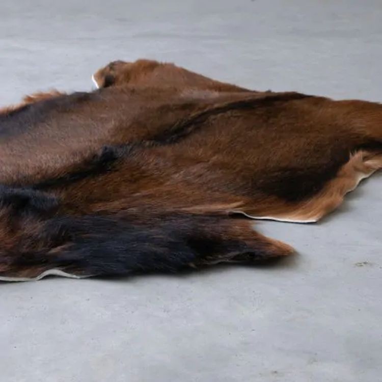 Hnědá dekorativní kožešina z kozí kůže - 60*90*2cm Mars & More Hnědá dekorativní kožešina z kozí kůže - 60*90*2cm Mars & More
