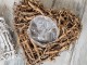 Hnědý květináč srdce z kořenů Root Wood - 40*10 cm daan kromhout