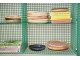 Rustikálně růžový porcelánový dezertní talíř Chef - Ø 20*3 cm HKLIVING