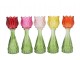5ks barevný mix skleněný svícen/ váza tulipán Love Tulip - Ø 7*18 cm daan kromhout