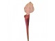 Dekorace umělá rostlina sarracenia purpurea - 6*5*75 cm Clayre & Eef