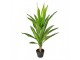 Dekorace umělá rostilina dracena v květináči - 25*25*90 cm Clayre & Eef