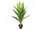 Dekorace umělá rostilina dracena v květináči - 25*25*90 cm Clayre & Eef