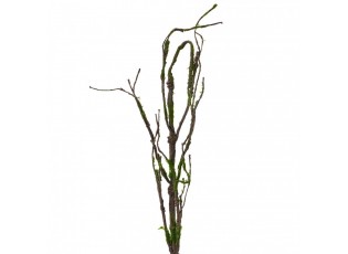 Dekorace hnědá větvička se zeleným mechem - 28*5*130 cm