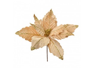 Béžovo-zlatá květina béžová vánoční hvězda Poinsettia - Ø 36*36 cm