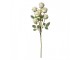 Umělá větvička bílá růže Rose white - 8*8*55 cm Clayre & Eef