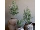 Dekorace umělý stromek olivovník s olivami Olea Tree - 15*170 cm Chic Antique