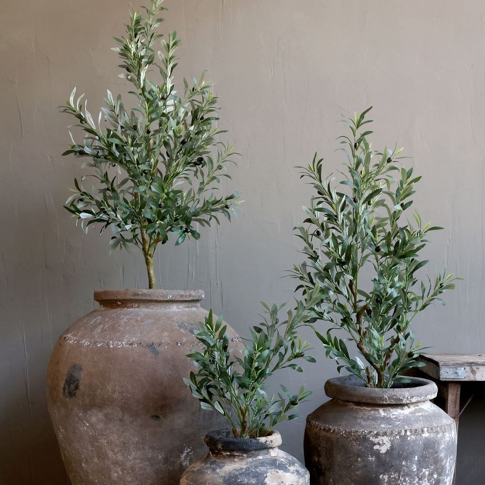 Dekorace umělý stromek olivovník s olivami Olea Tree - 15*170 cm Chic Antique Dekorace umělý stromek olivovník s olivami Olea Tree - 15*170 cm Chic Antique