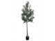 Dekorace umělý stromek olivovník s olivami Olea Tree - 15*170 cm Chic Antique
