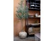 Dekorace umělý stromek olivovník s olivami Olea Tree - 15*170 cm Chic Antique
