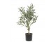 Dekorace umělý stromek olivovník s olivami Olea Tree - Ø 12*73 cm Chic Antique