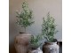 Dekorace umělý stromek olivovník s olivami Olea Tree - Ø 12*73 cm Chic Antique