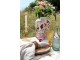 Set 6ks barevných misek na noze Saint-Émilion - Ø 10,5*10 cm / 260ml Chic Antique