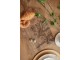 Dřevěné servírovací prkénko s králíkem Board Wood Rabbit - 25*2*50 cm Clayre & Eef