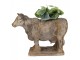 Šedý antik dekorační květináč kráva Cow Brocante - 36*15*28 cm Clayre & Eef