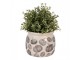Keramický květináč s dýněmi Country Style Pumpkin M - Ø 16*13 cm Clayre & Eef