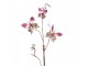 Dekorativní větev s motýlky Butterfly pink - 14*5*85 cm Clayre & Eef