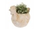 Béžový antik květináč slepička Chicken Brocante - 31*20*27 cm Clayre & Eef