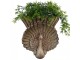 Hnědý antik nástěnný květináč páv Peacock Baroque - 36*12*39 cm Clayre & Eef