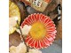 Dekorační keramický talířek ve tvaru květu Retro Uniq - Ø 14*3 cm Clayre & Eef