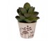 Béžový obal na květináč s houbičkami Little Forest Jewels XS - Ø 8*7 cm Clayre & Eef