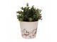 Béžový obal na květináč s houbičkami Little Forest Jewels M - Ø 15*14 cm Clayre & Eef
