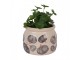Keramický květináč s dýněmi Country Style Pumpkin S - Ø 12*10 cm Clayre & Eef