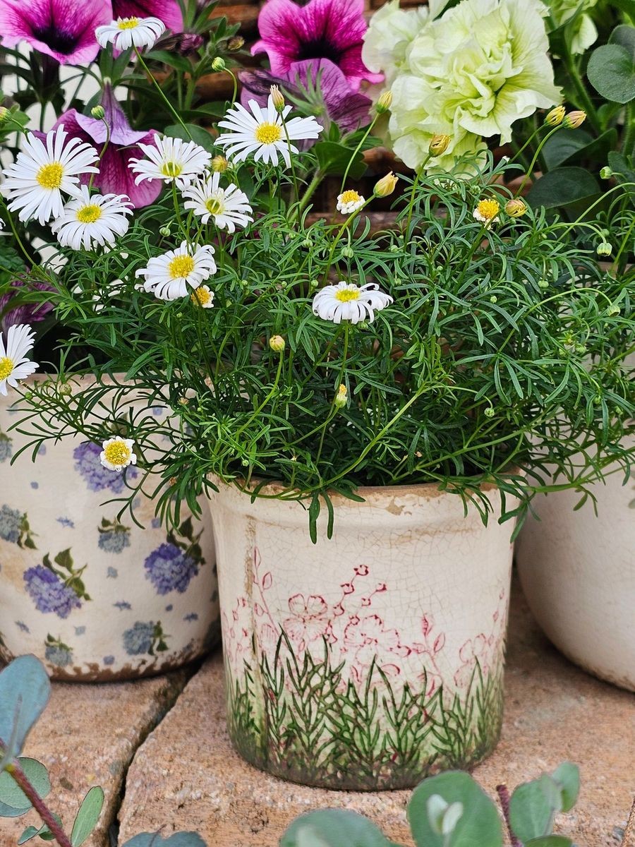 Béžovo-zelený obal na květináč s růžovými květy Rustic Flower S - Ø 13*12 cm Clayre & Eef Béžovo-zelený obal na květináč s růžovými květy Rustic Flower S - Ø 13*12 cm Clayre & Eef