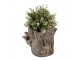Hnědý cementový květináč kmen stromu s houbami Botanic M - 24*18*18 cm Clayre & Eef