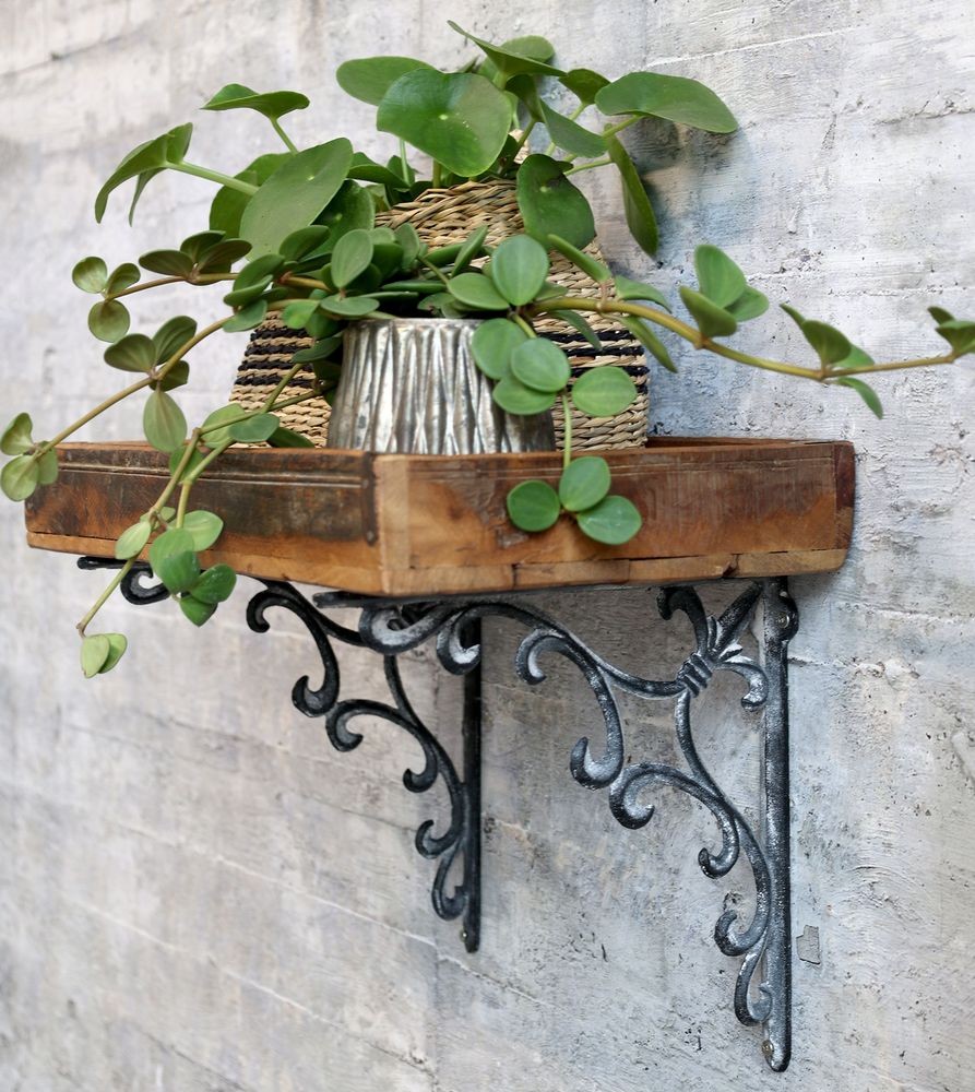 Šedá antik litinová konzole s ornamentem Lilie French - 25*4*25 cm Chic Antique Šedá antik litinová konzole s ornamentem Lilie French - 25*4*25 cm Chic Antique