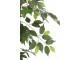 Dekorace umělá rostlina fíkus v květináči Ficus Tree - Ø 80*180 cm J-Line by Jolipa