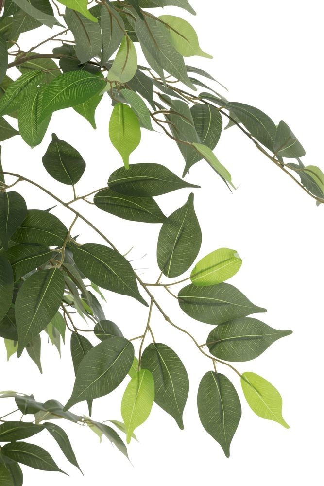 Dekorace umělá rostlina fíkus v květináči Ficus Tree - Ø 80*180 cm J-Line by Jolipa Dekorace umělá rostlina fíkus v květináči Ficus Tree - Ø 80*180 cm J-Line by Jolipa