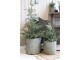 Zelený vánoční borovicový stromek v jutě a se šiškami Pine Tree - 60 cm Chic Antique