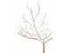 Zlatý kovový dekorační strom Tree Gold - 60*60*75 cm J-Line by Jolipa