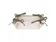 Béžový košík na pečivo se slepičkami Barnyard Chicken - 35*35*8 cm Clayre & Eef