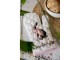 6ks ubrousek zajíc s květy Easter Whispers Collection - 40*40 cm Clayre & Eef