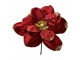 Červeno-zlatá dekorace květina vánoční hvězda Poinsettia - Ø 24*25 cm Clayre & Eef