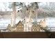Set 2ks krémový antik svícen domek na čajovou svíčku - 6*6*10 cm Chic Antique