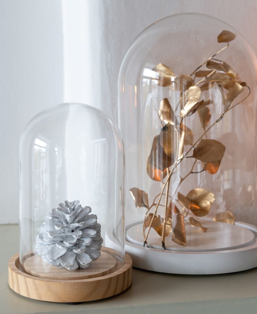 Přírodní dřevěný podnos se skleněným poklopem Bell Jar S - Ø 11*16 cm J-Line by Jolipa Přírodní dřevěný podnos se skleněným poklopem Bell Jar S - Ø 11*16 cm J-Line by Jolipa