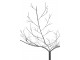 Černý veliký kovový dekorační strom Tree Black - 255*255*250 cm J-Line by Jolipa