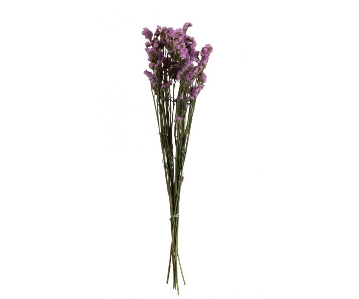 Sušený dekorativní trs statice - 13*5*76 cm J-Line by Jolipa