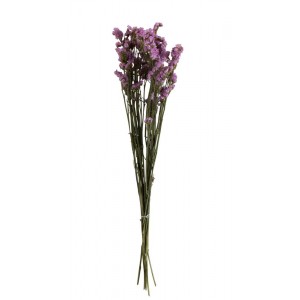 Sušený dekorativní trs statice - 13*5*76 cm