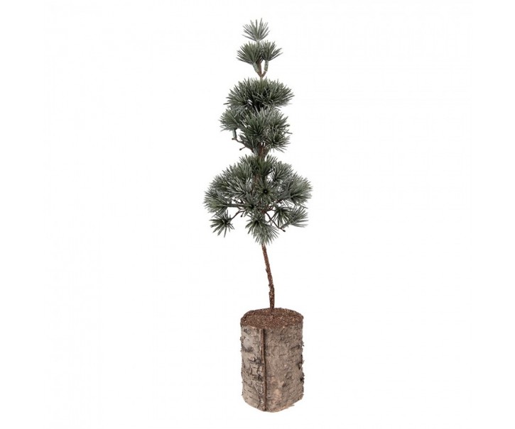 Vánoční dekorace jehličnatý stromek na dřevě - 14*14*45 cm Clayre & Eef