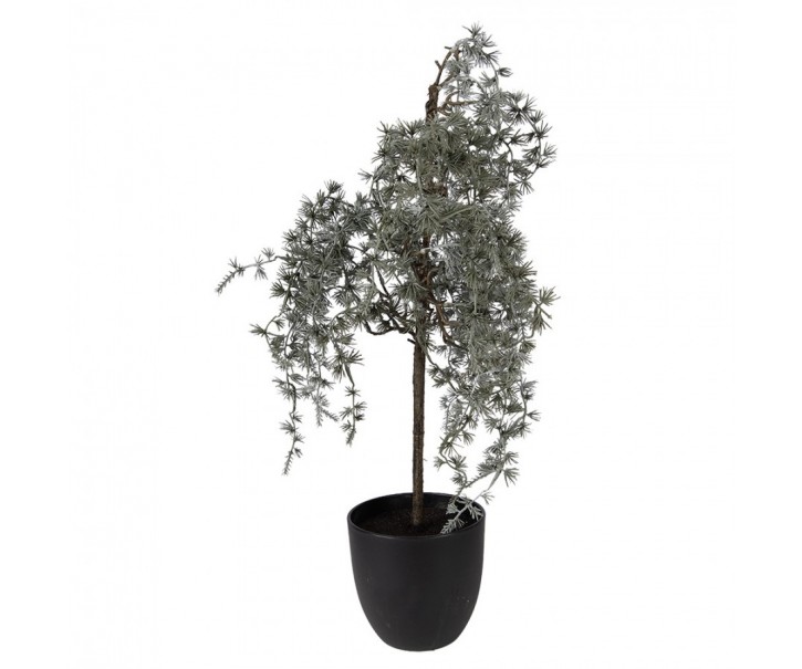 Dekorace cedrový stromek v květináči Cedar M - 30*30*60 cm Clayre & Eef