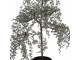 Vánoční dekorace cedrový stromek v květináči Cedar L - 40*40*85 cm Clayre & Eef