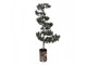 Dekorativní svítící jehličnatý stromek na podstavci Bonsai Tree LED M - 28*20*75 cm / 3*AAA Clayre & Eef