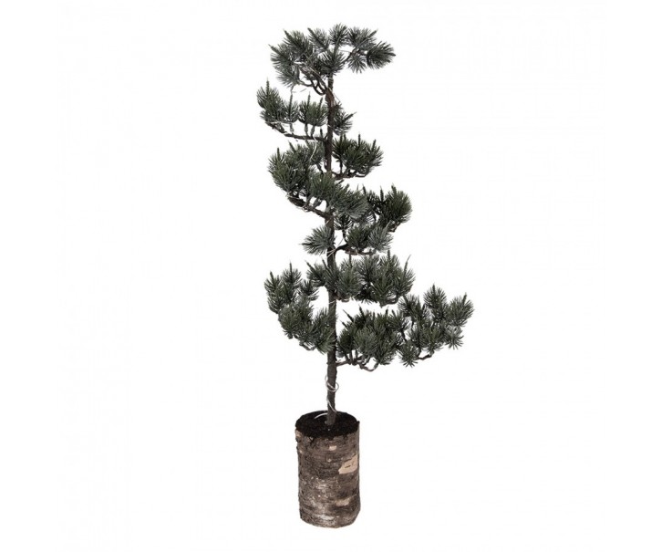 Dekorativní svítící jehličnatý stromek na podstavci Bonsai Tree LED M - 28*20*75 cm / 3*AAA Clayre & Eef