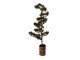 Dekorativní svítící jehličnatý stromek na podstavci Bonsai Tree LED M - 28*20*75 cm / 3*AAA Clayre & Eef